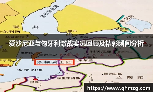 爱沙尼亚与匈牙利激战实况回顾及精彩瞬间分析