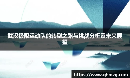 完美体育在线入口官网