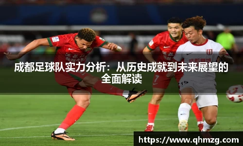 成都足球队实力分析：从历史成就到未来展望的全面解读