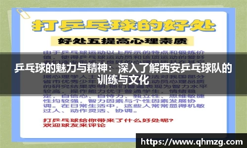 完美体育app下载安装